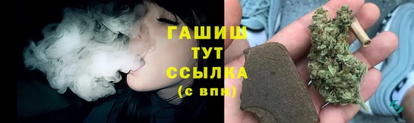 гидропоника Горнозаводск