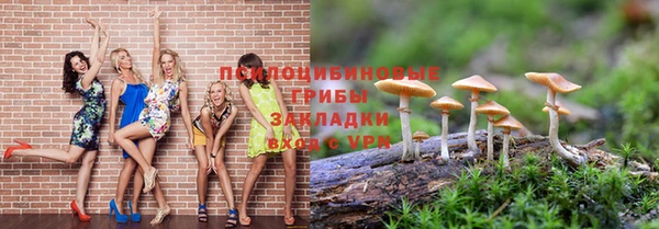 гидропоника Горнозаводск