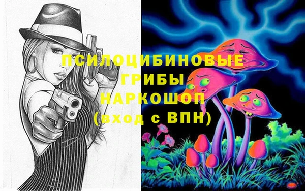 гидропоника Горнозаводск