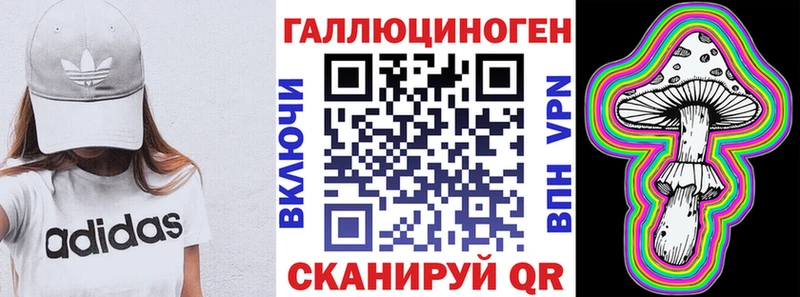 Псилоцибиновые грибы мицелий  цены наркотик  мега рабочий сайт  Гусиноозёрск 