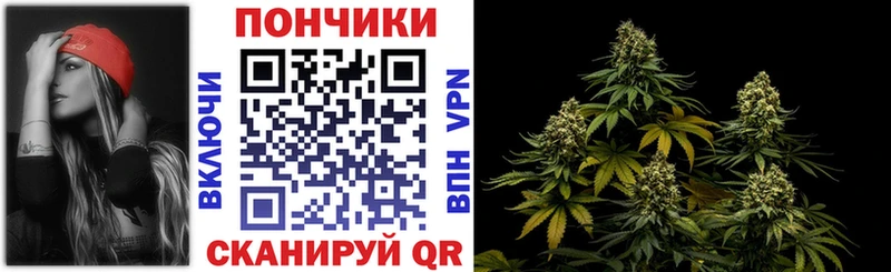 купить наркотики сайты  Гусиноозёрск  Бошки марихуана LSD WEED 